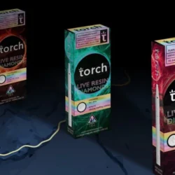 TORCH disposable live resin